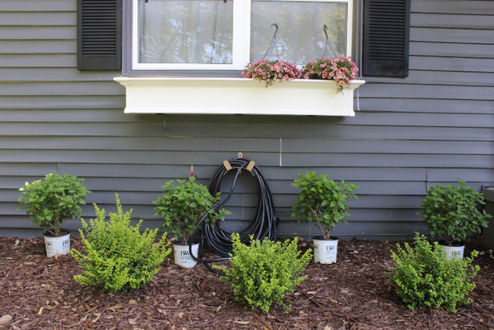 Easy Curb Appeal Updates