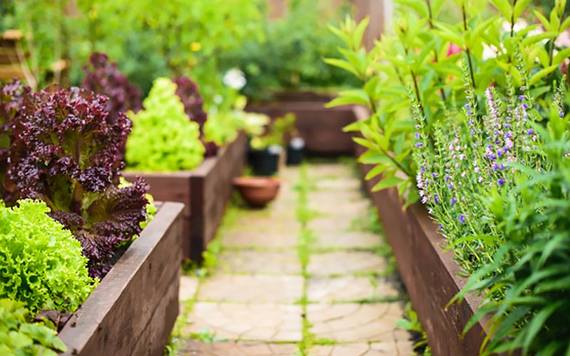 Ideas And Tips For Your Raised Garden The Home Depot