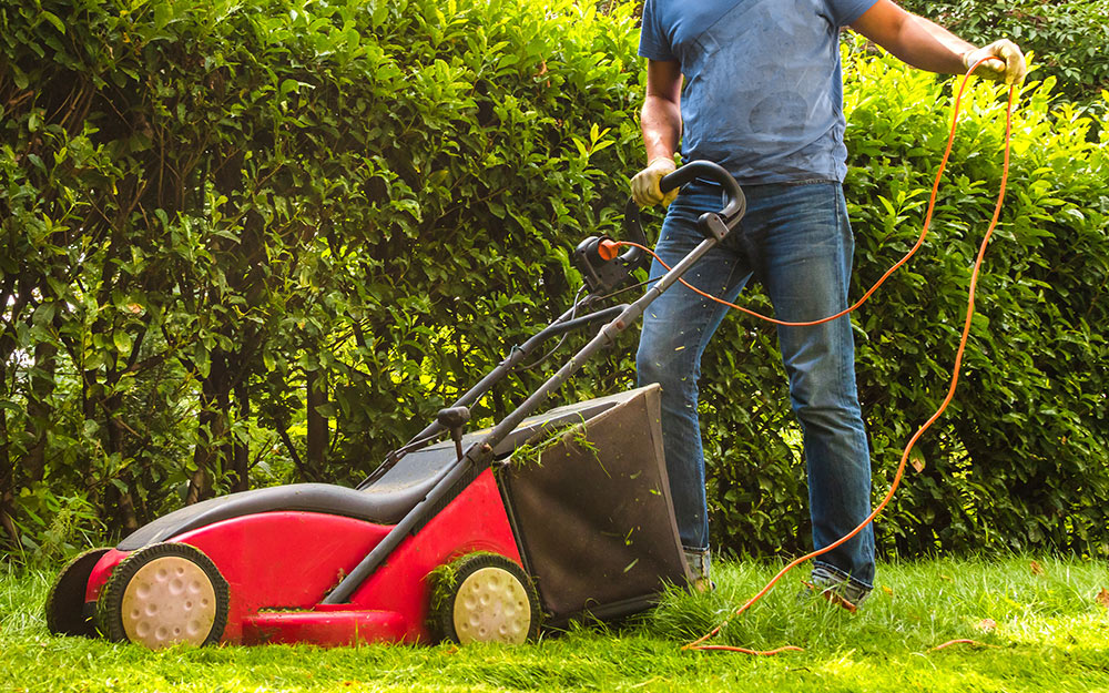A person pushing a lawn mower attached to an extension cord. A person pushing a lawn mower attached to an extension cord.