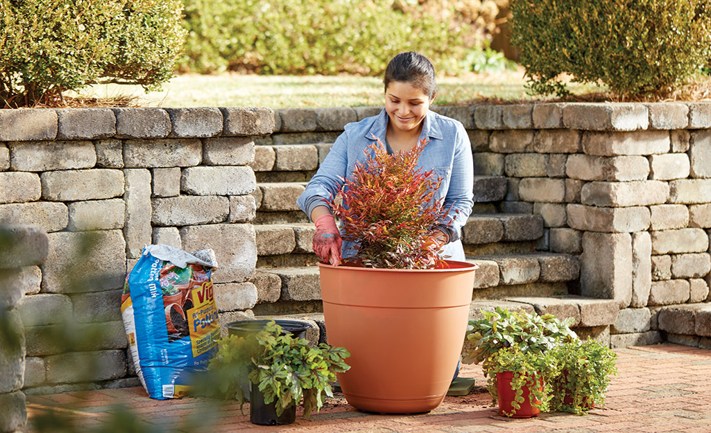 A woman adds a plant to a large container that sits next to other plants waiting to be transferred.