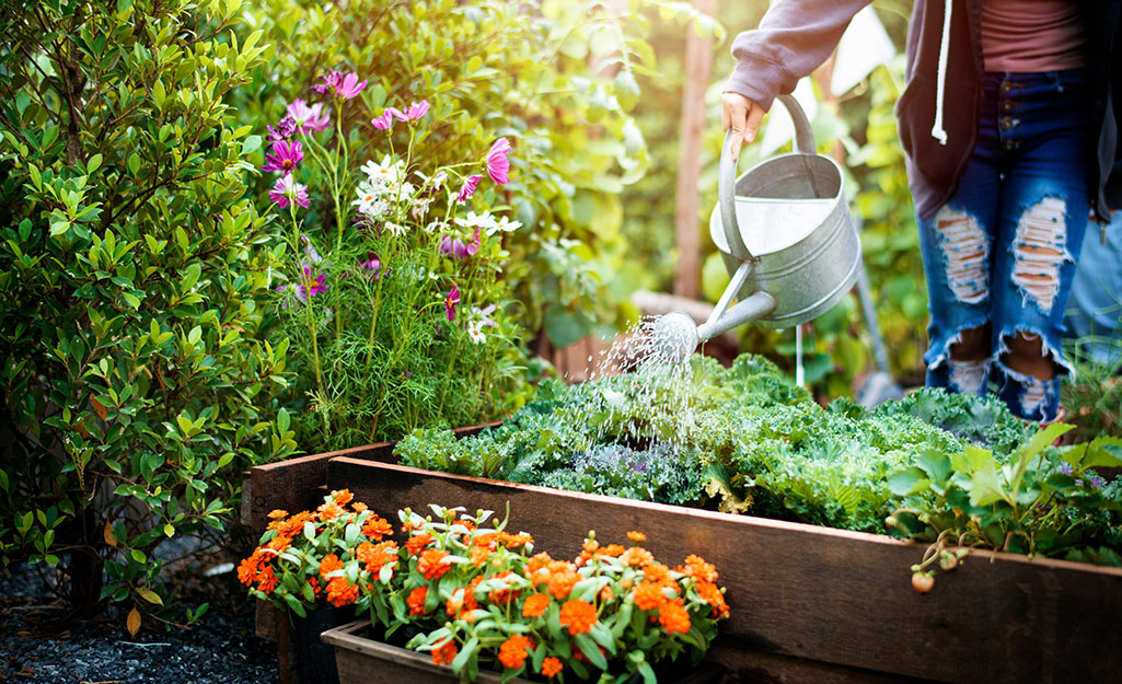 Plant These Vegetables in Your Fall Garden - The Home Depot