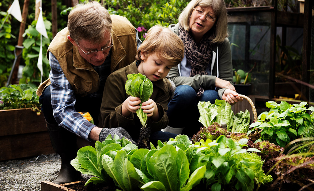 https://contentgrid.homedepot-static.com/hdus/en_US/DTCCOMNEW/Articles/fall-edible-gardening-101-2023-step-5.jpg