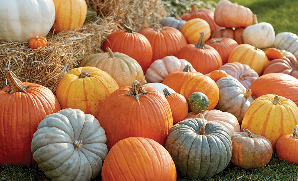Orange, green and white pumpkins lay together beside a bale of straw.