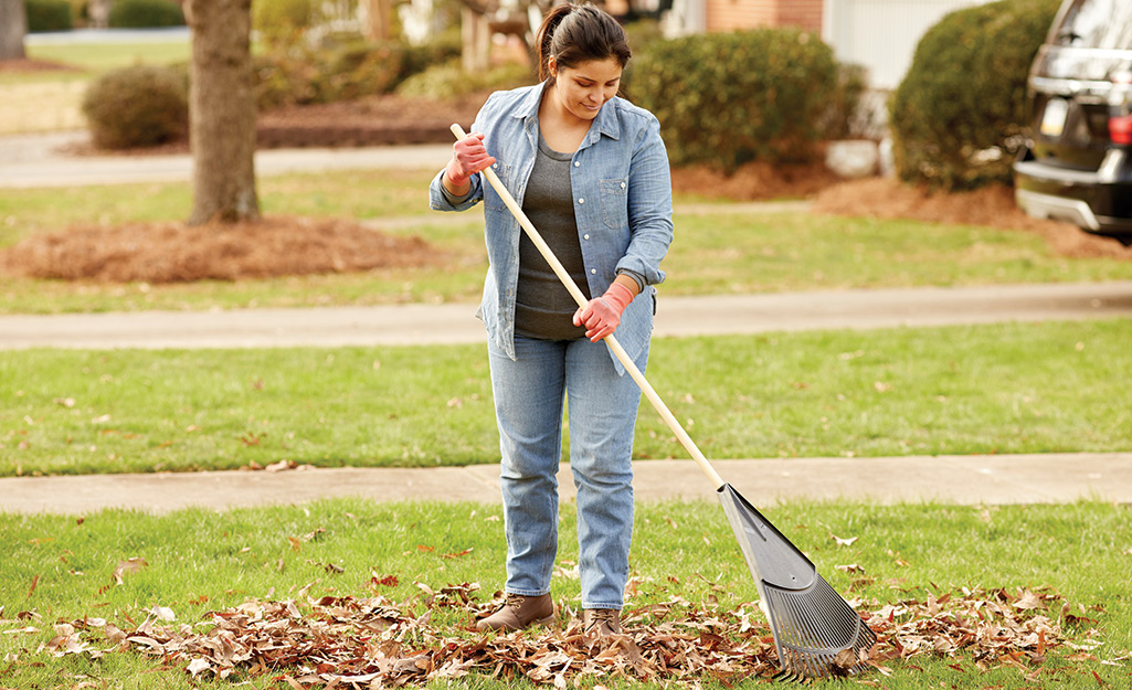 A woman rakes leaves on a lawn.