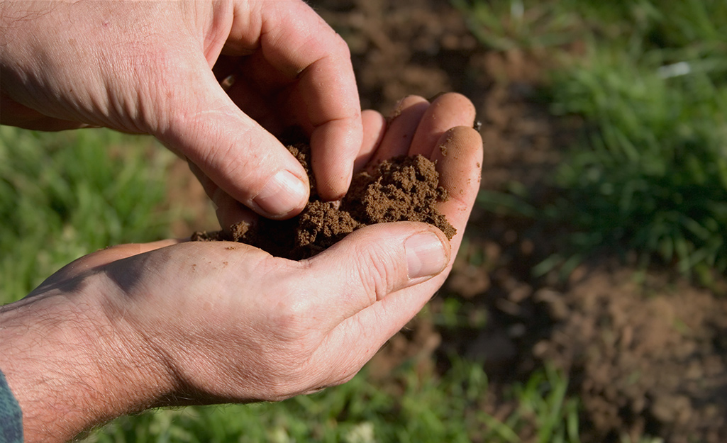 Gardener's hand filled with soil
