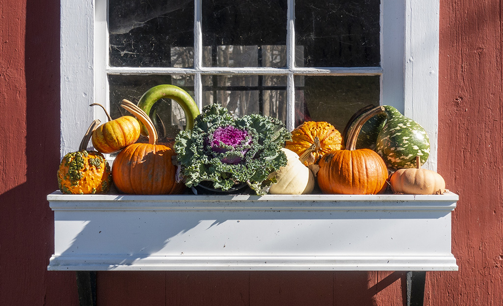 Window box with pumpkins and flowering kale
