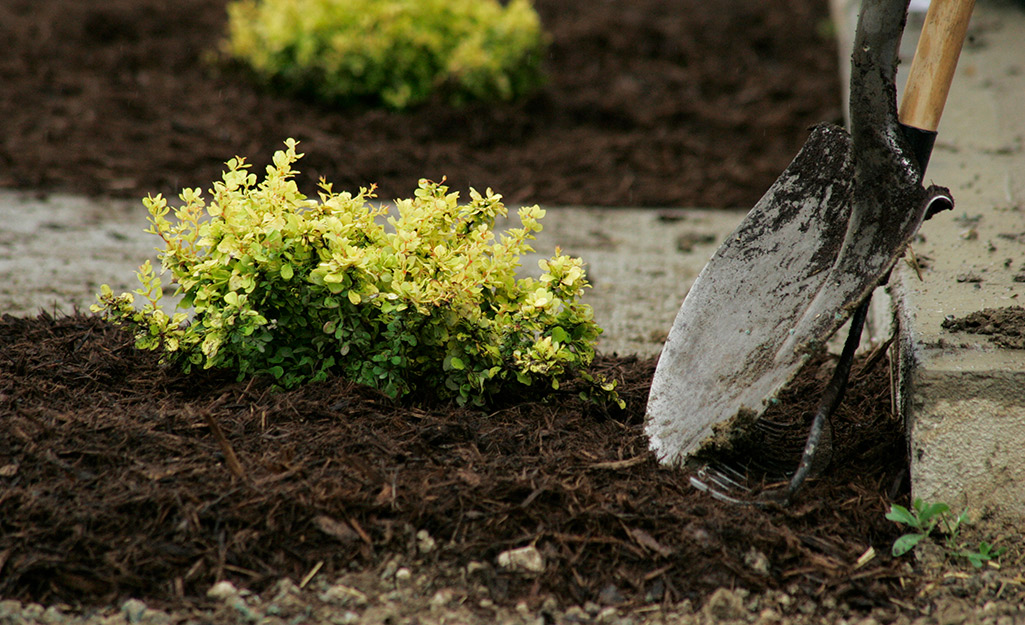 Someone working in mulch