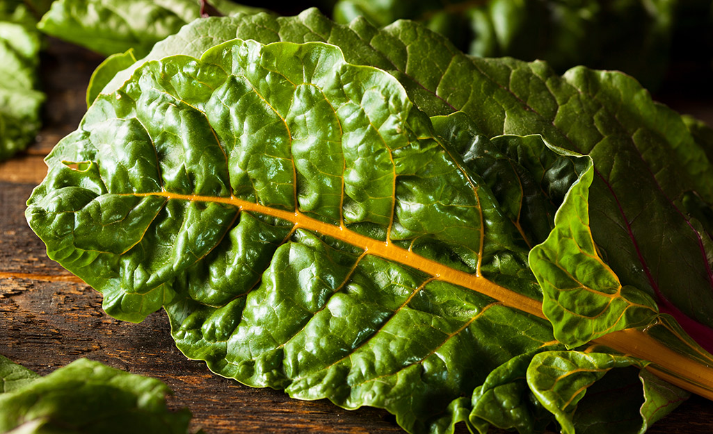 Leaves of Swiss chard lay on a wood surface.