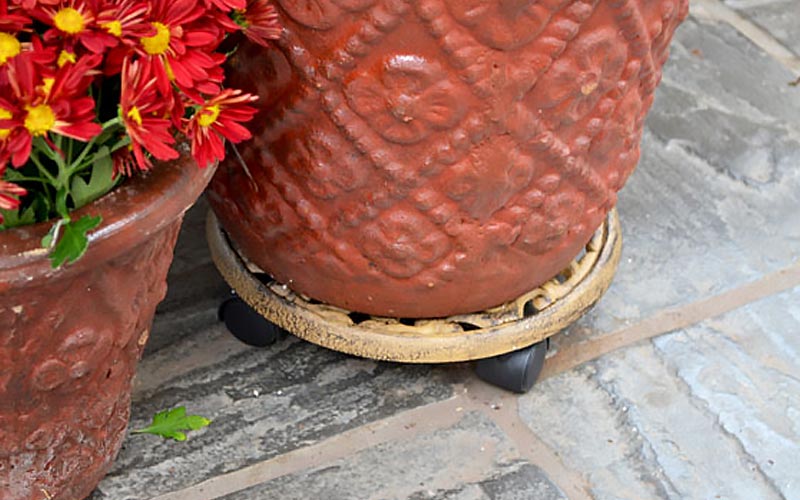 Ceramic planter on a planter caddy