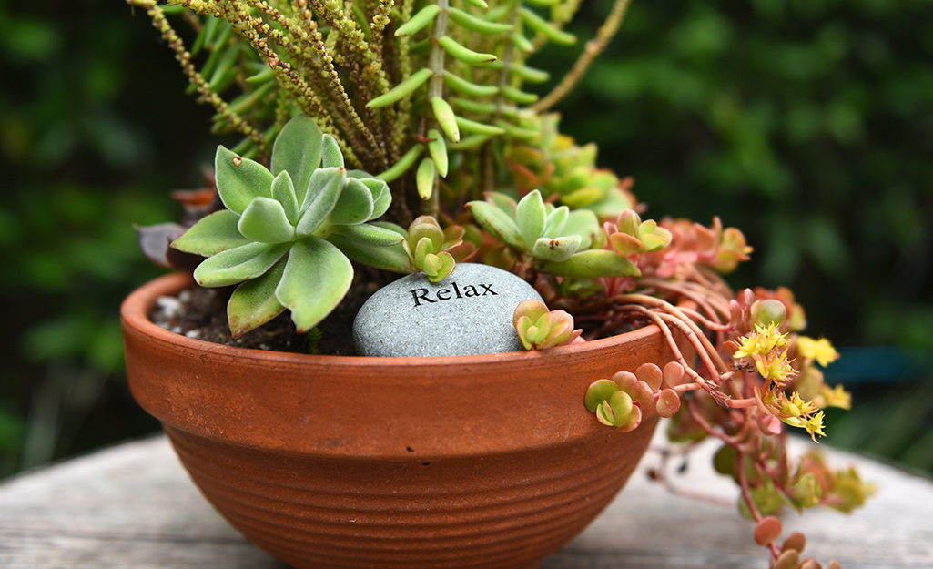 Terra cotta planter filled with succulents