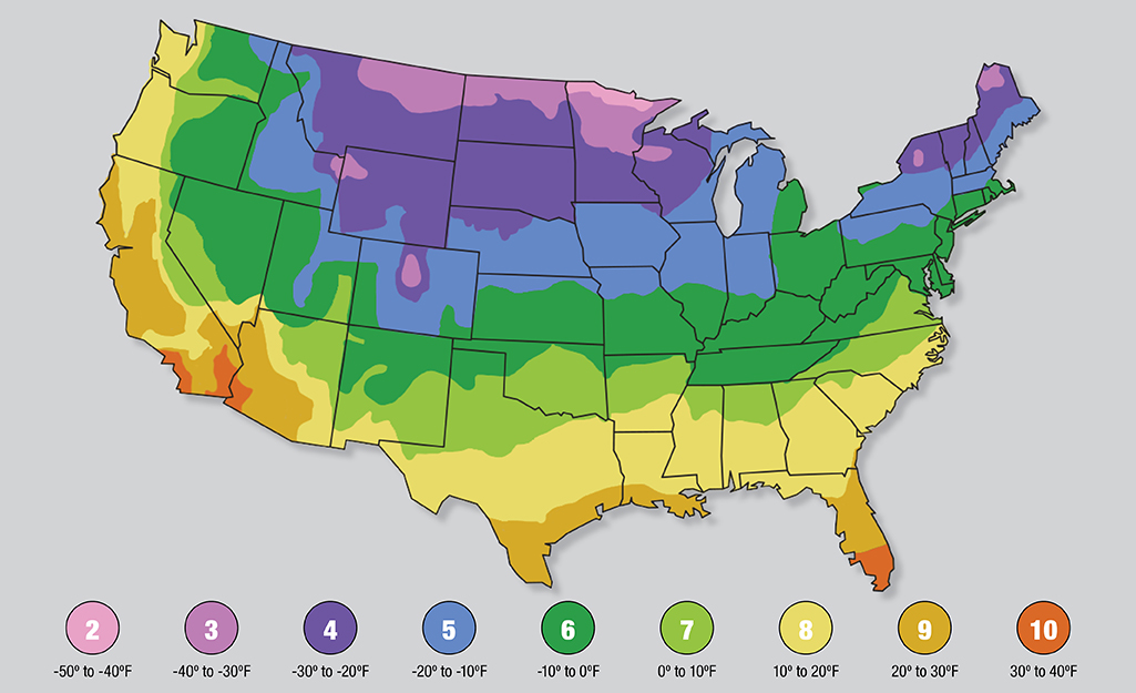 A map of USDA Plant Hardiness Zones.