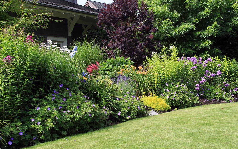 32 Flower Bed Ideas to Spruce up Your Garden