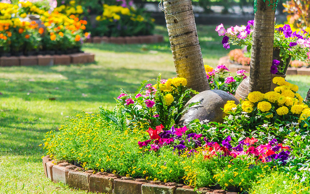 Flower beds 2024 around trees