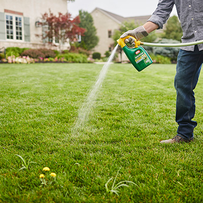 How to Kill Weeds in Your Lawn