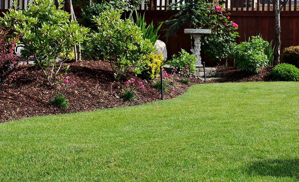 Three Dogs In A Garden A Pretty Cottage Garden