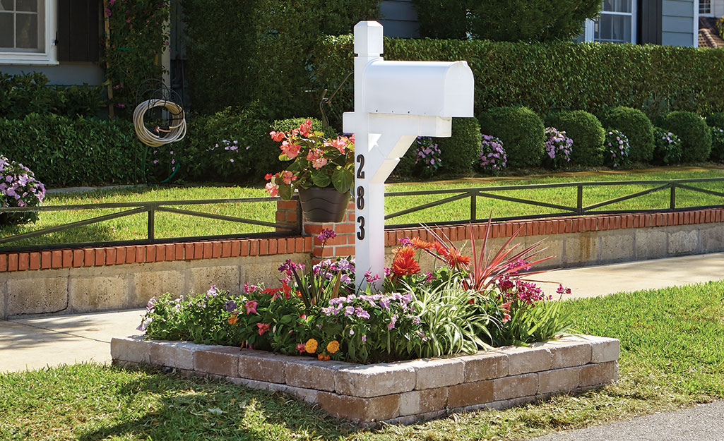A flower bed surrounds a white mailbox in a front yard.