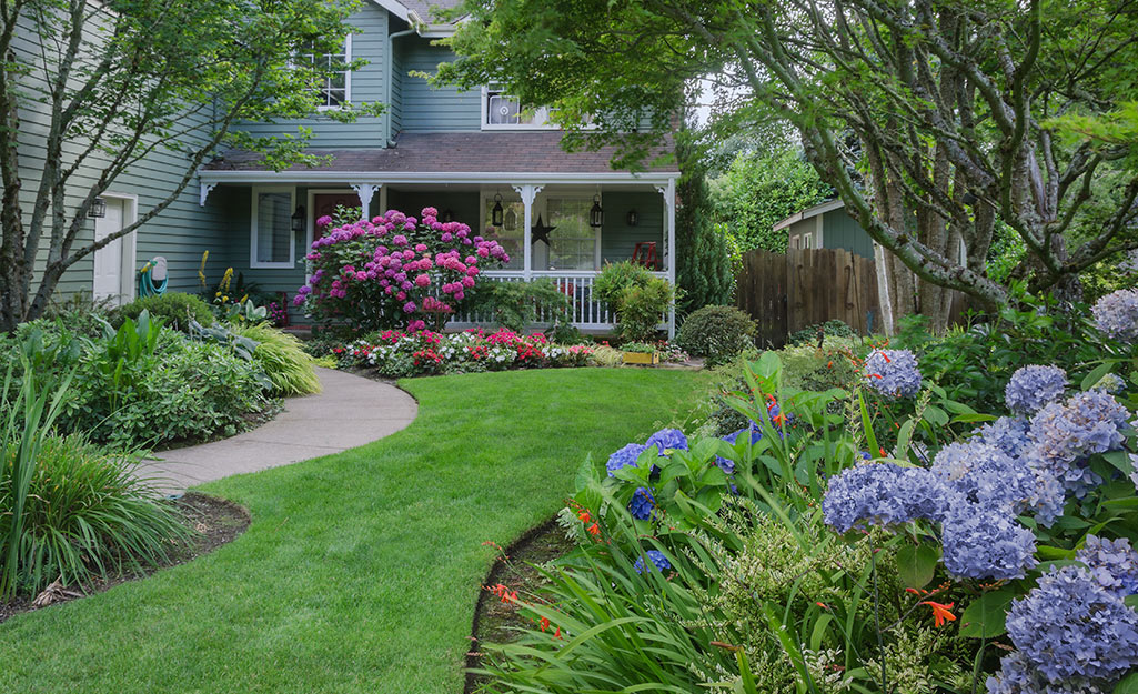 unique front yard plants