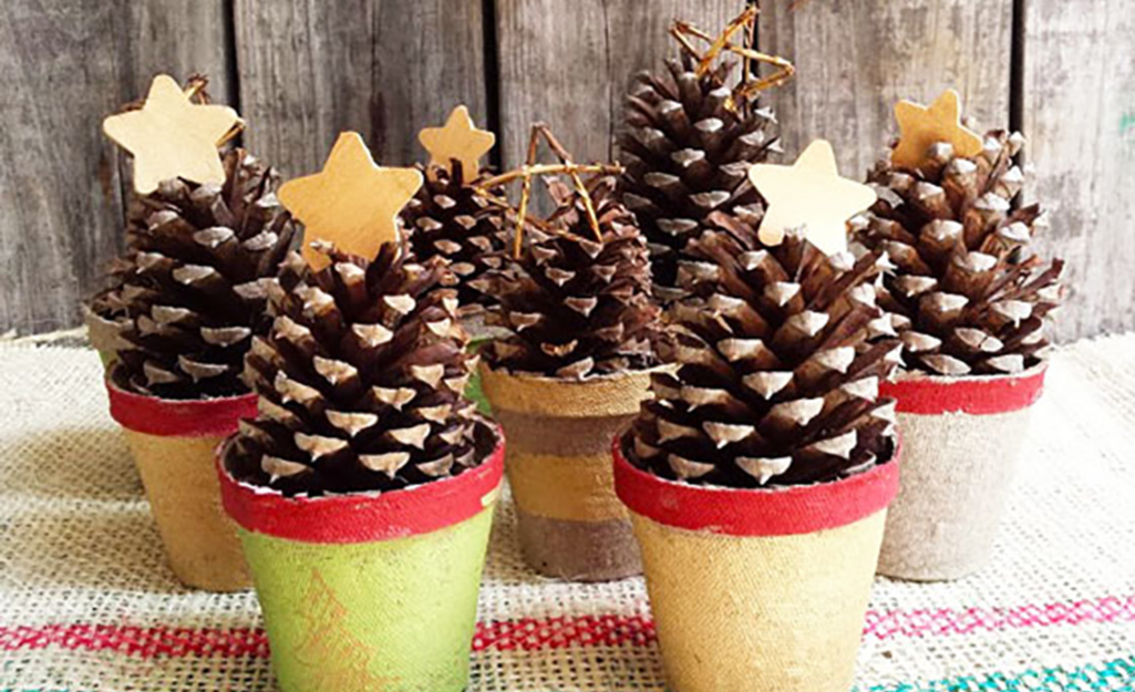 A collection of pine cone peat pot Christmas trees