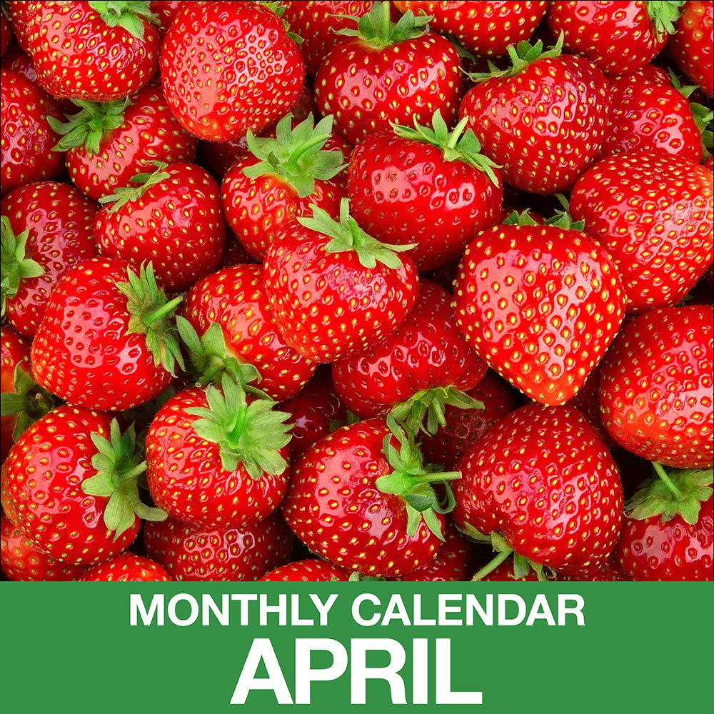 Gardening Calendar for April The Home Depot