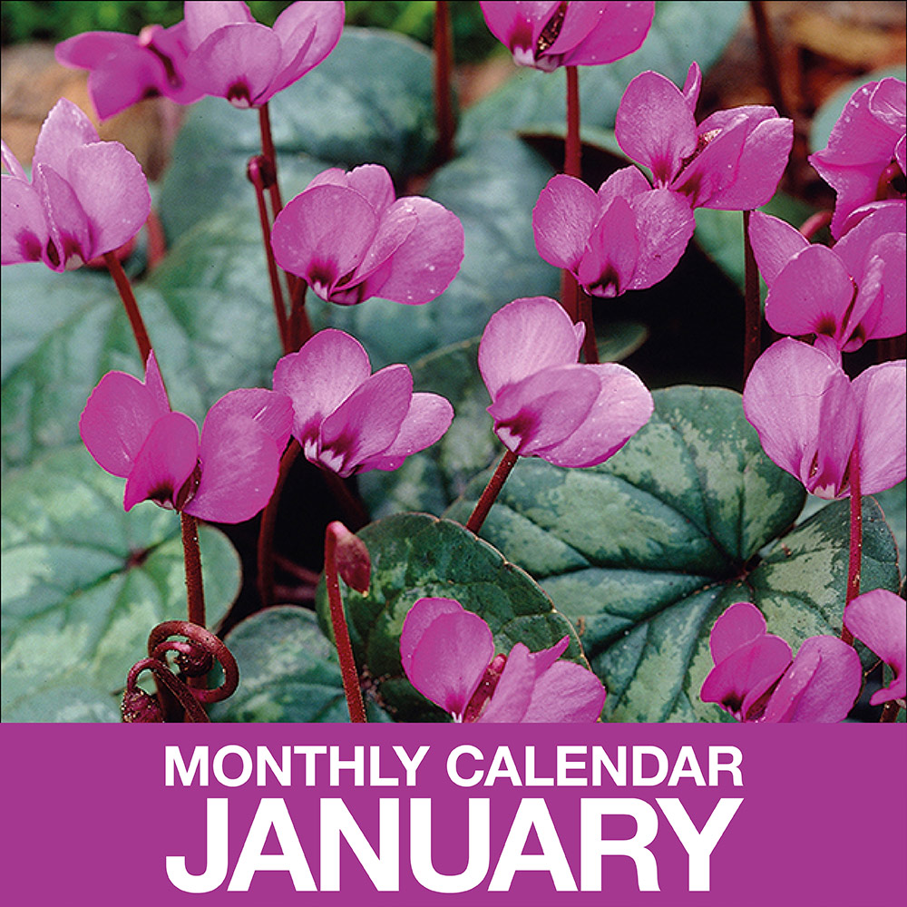 Gardening Calendar for January The Home Depot
