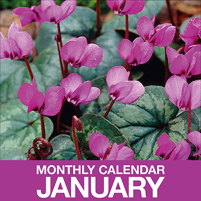 Gardening Calendar for January