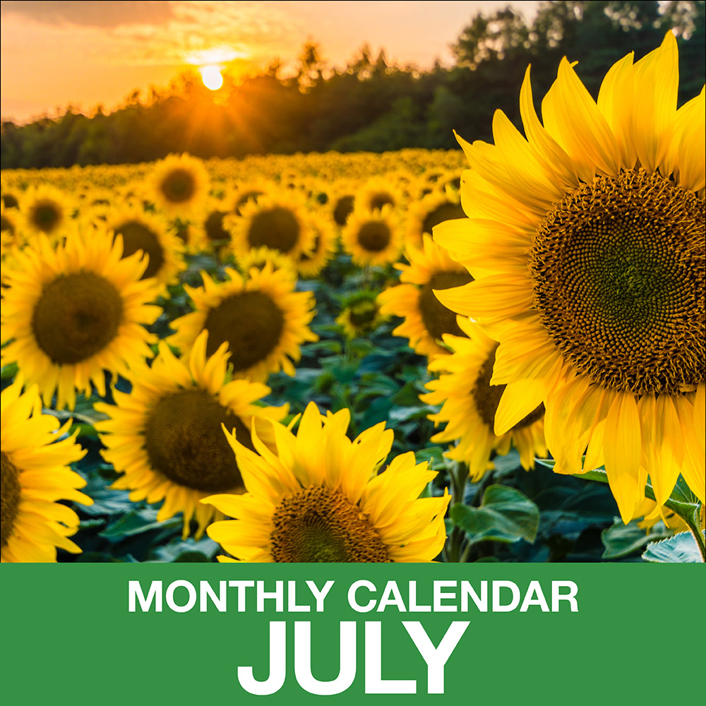 Gardening Calendar for July