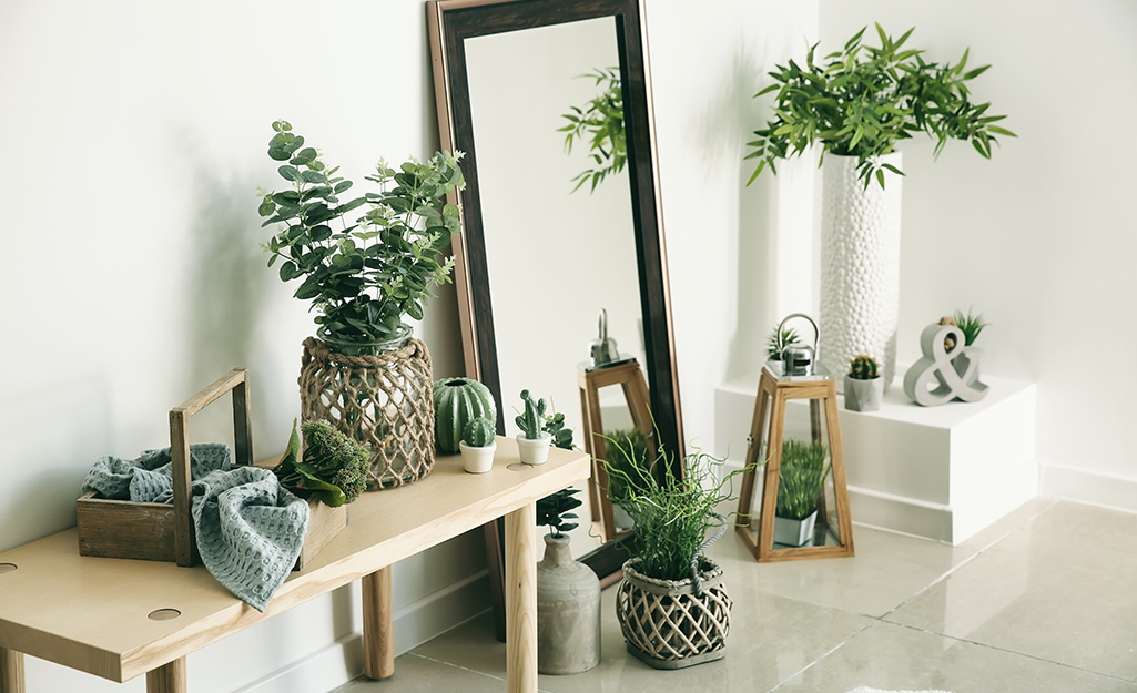 Room filled with houseplants
