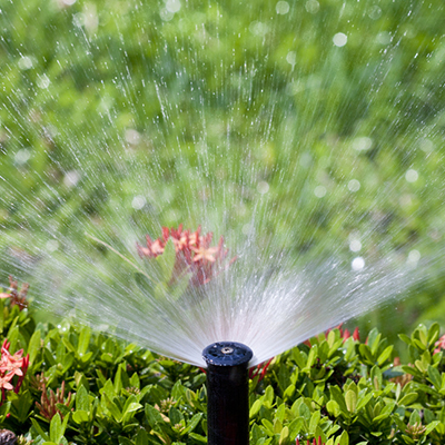 Irrigation Tips and Ideas