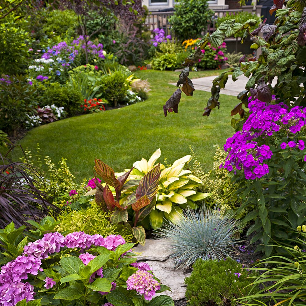 Water Smarts for Your Summer Landscape
