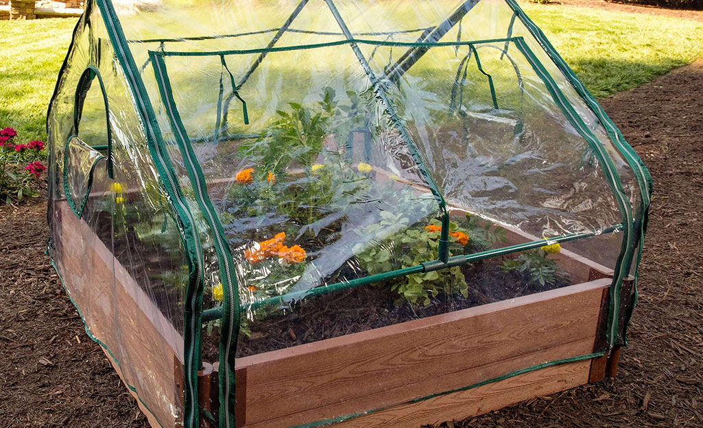 A box, cold frame greenhouse. 