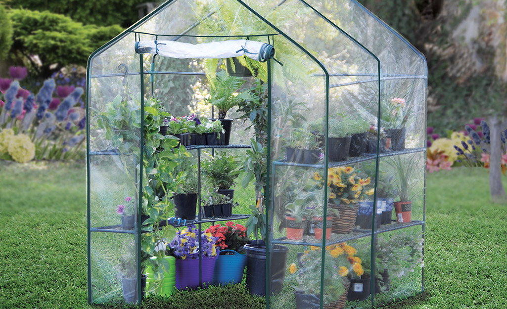 A greenhouse tent with PVC pipes for support. 