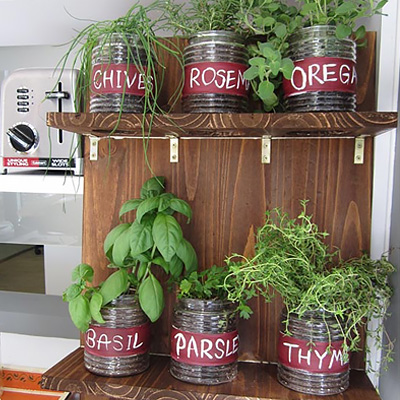 Grow An Indoor Garden With Fresh Herbs The Home Depot