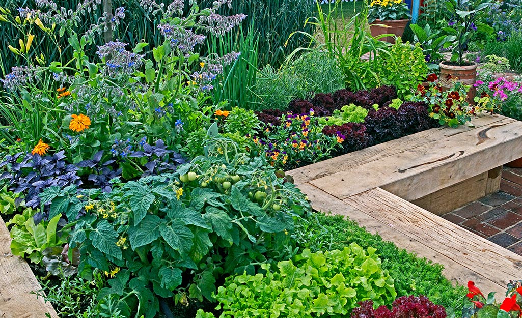 Produce grows next to flowering plants in a raised garden bed.