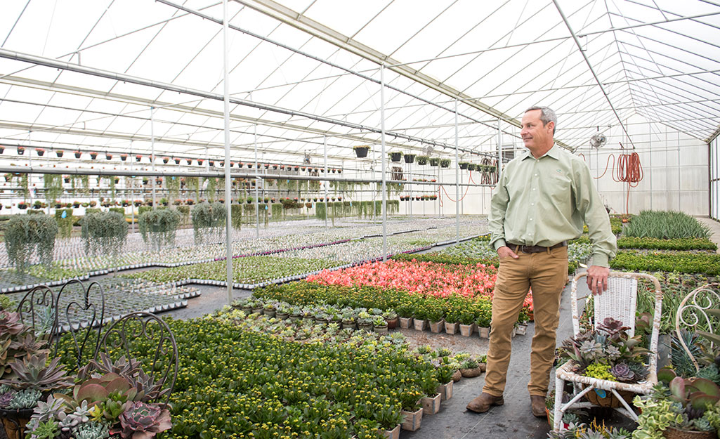 Sam Rambo in greenhouse at Rambo Nursery 