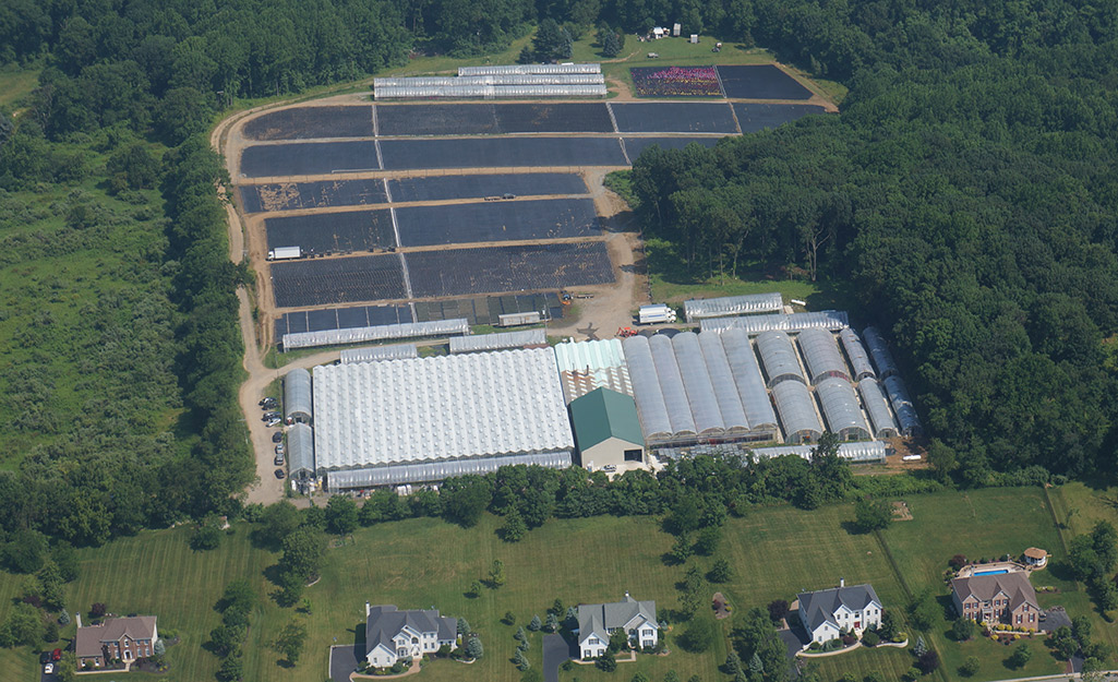 Overhead view of greenhouse Overhead view of greenhouse