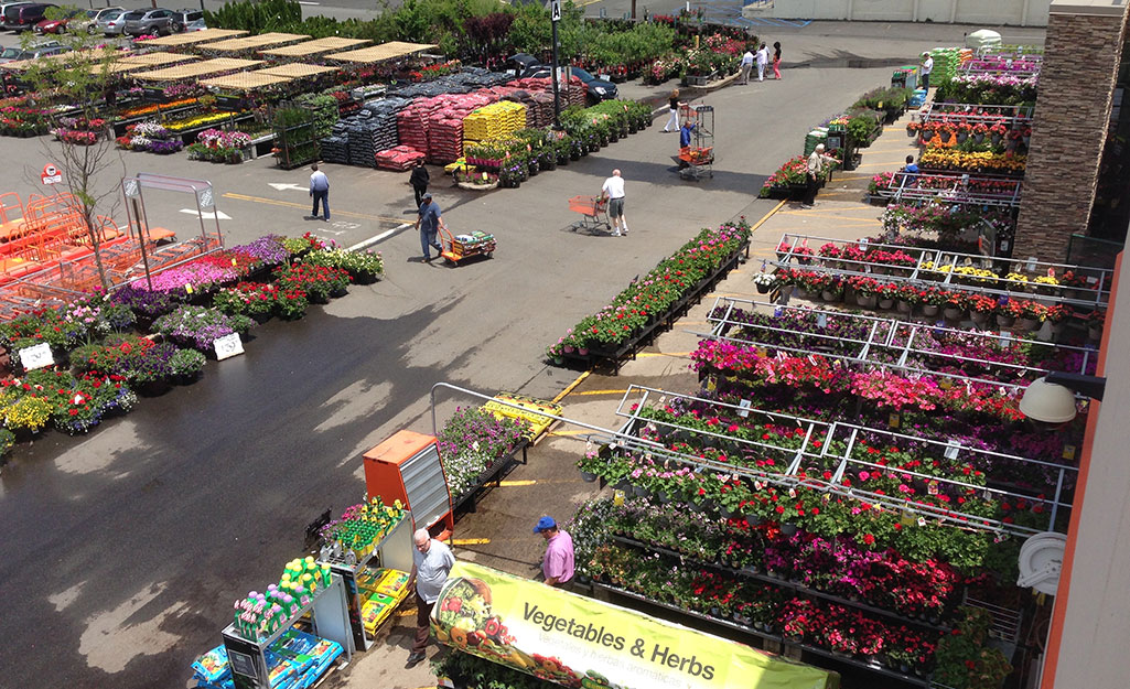 Rooftop view of Garden Center Rooftop view of Garden Center