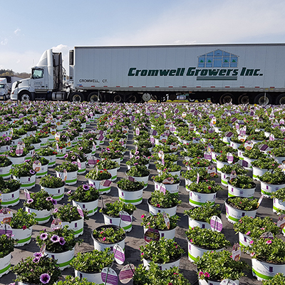 Growing Flowers is a Family Tradition for Cromwell Growers