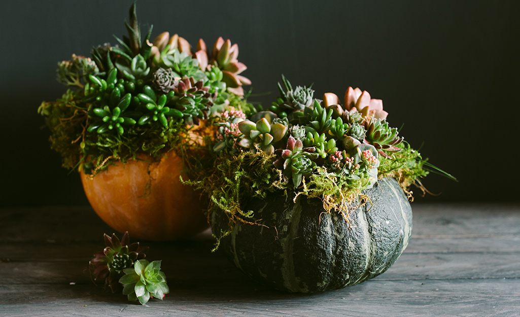 Harvest Centerpiece Ideas - The Home Depot