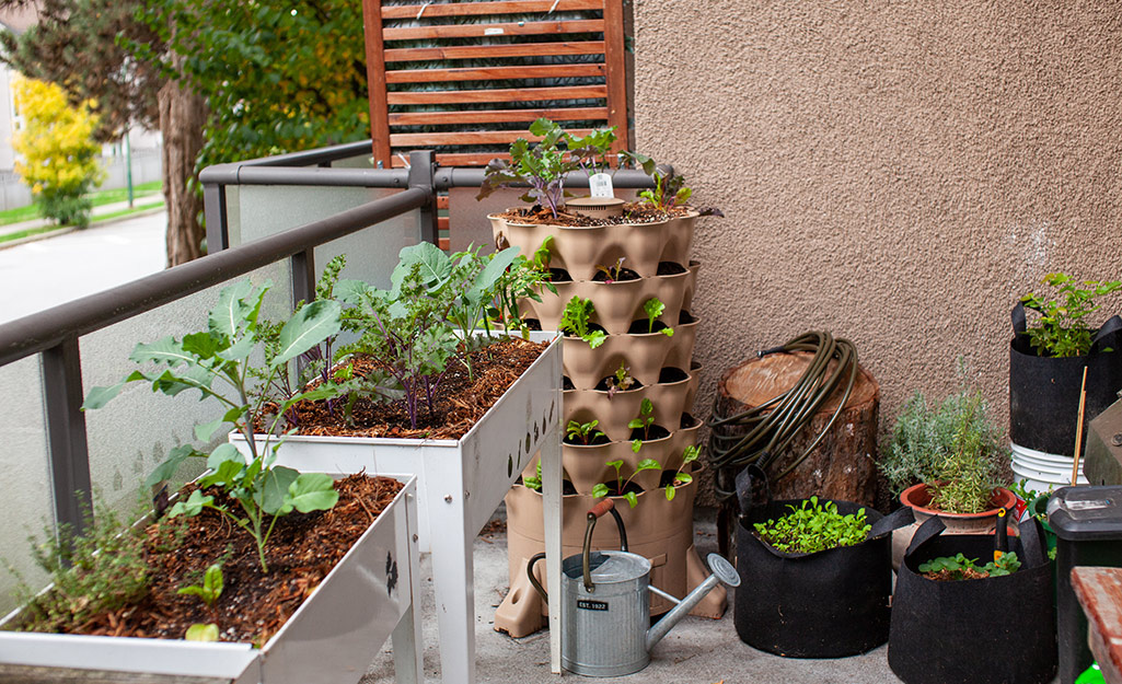 Harvest Decor Ideas for Your Balcony - The Home Depot