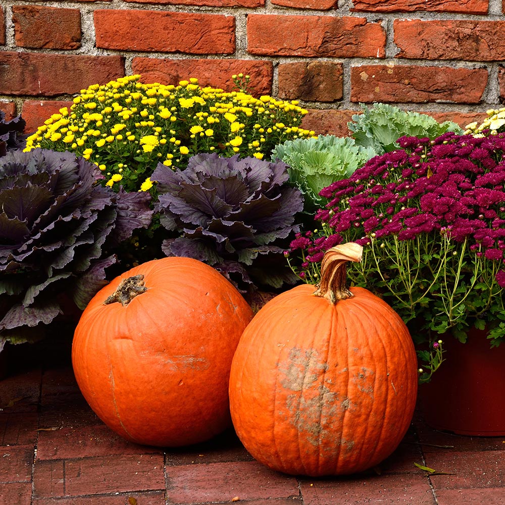 Harvest Decor Ideas for Your Balcony