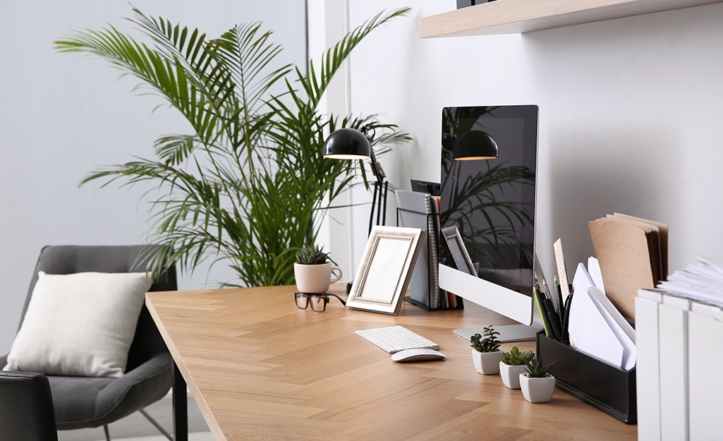 Houseplants in a home office