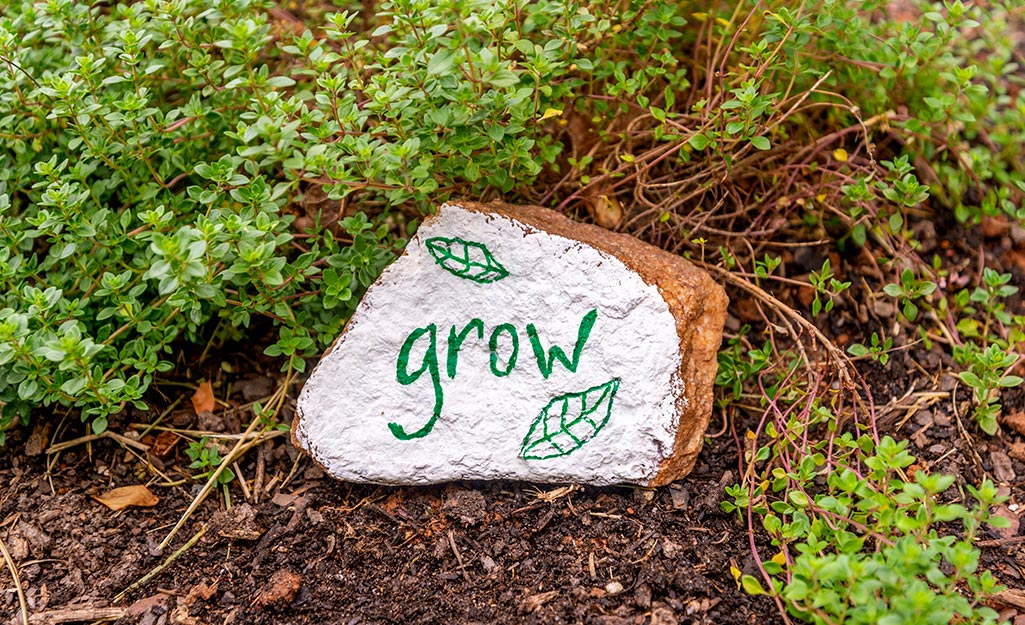 A rock with the word "grow" painted on it.
