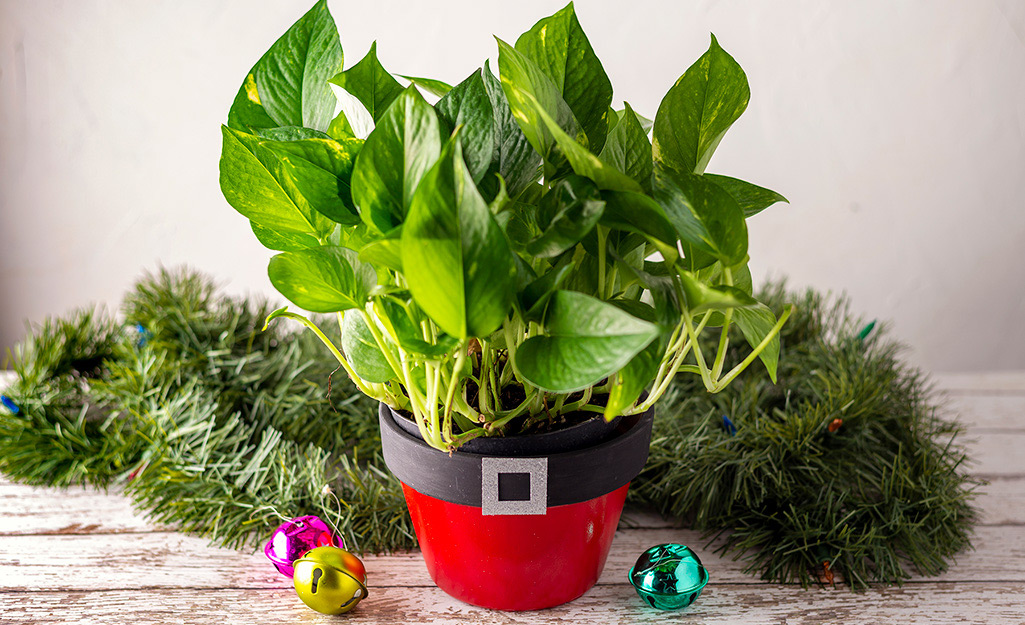 A planter pot painted to look like Santa's suit.