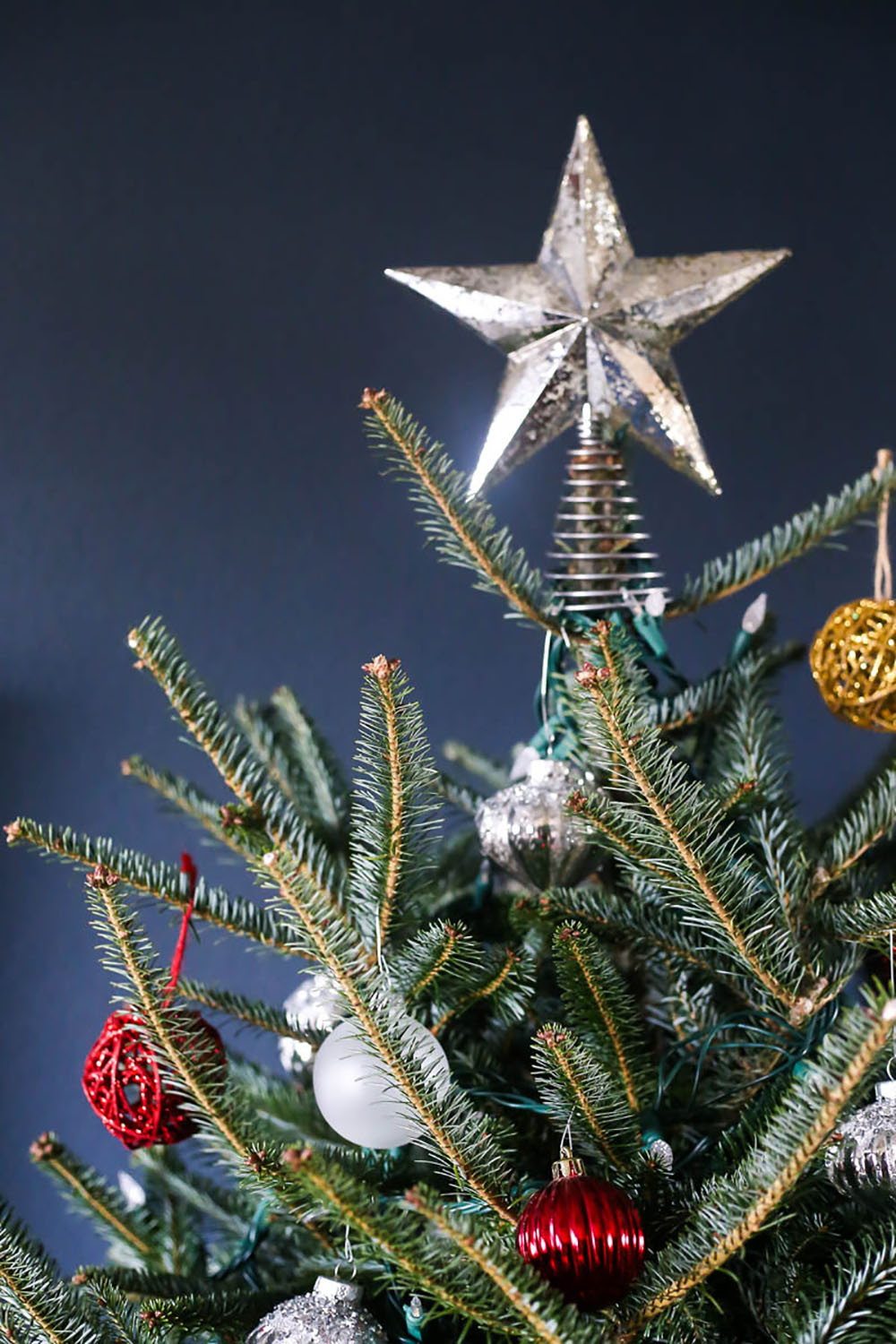 The top of a live Christmas tree decorated with a silver star topper.