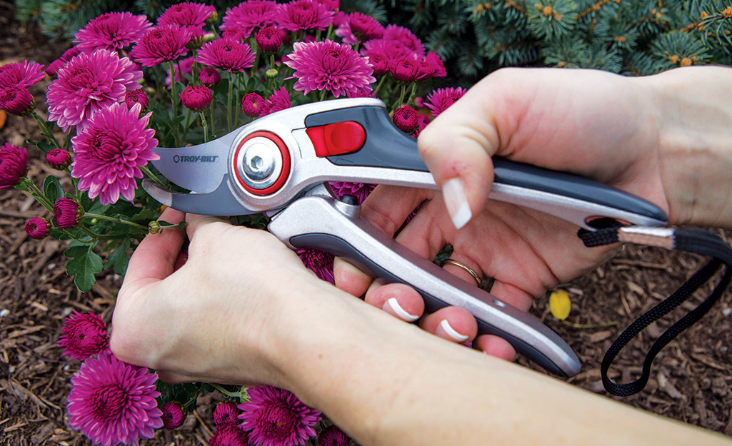 Choosing the Right Pruner for the Job