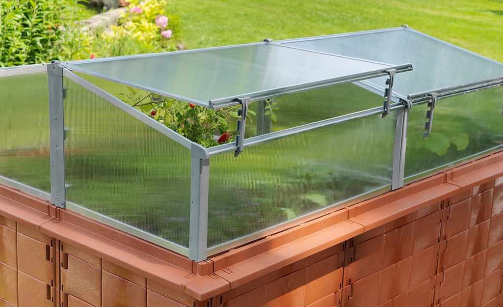 The top of a large glass cold frame on a elevated base opens to show plants inside. The top of a large glass cold frame on a elevated base opens to show plants inside.
