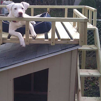 How to Build a Dog House - The Home Depot