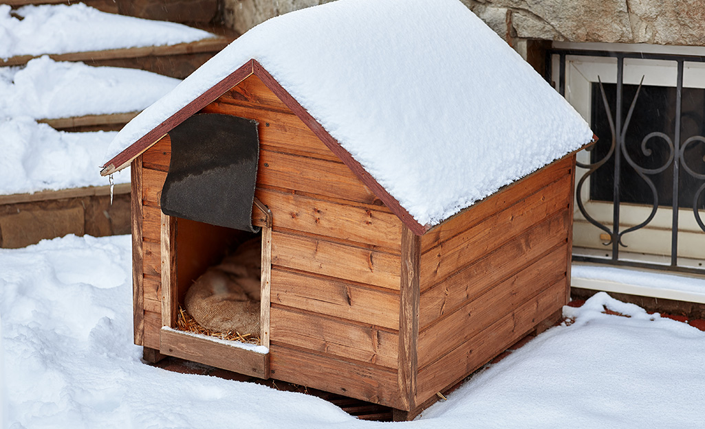 How to build a simple dog house