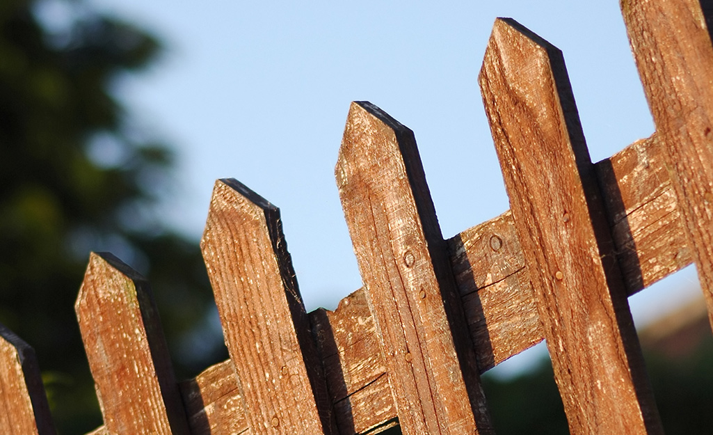 Dark-stained fence pickets attached to a fence rail.