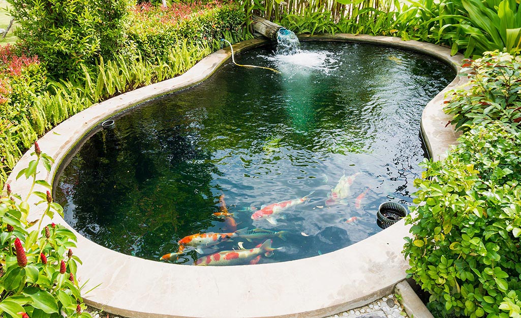 An in-ground fish pond filled with koi.